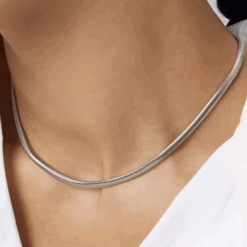 Silver snake chain necklace on neckline, close-up of coiled links