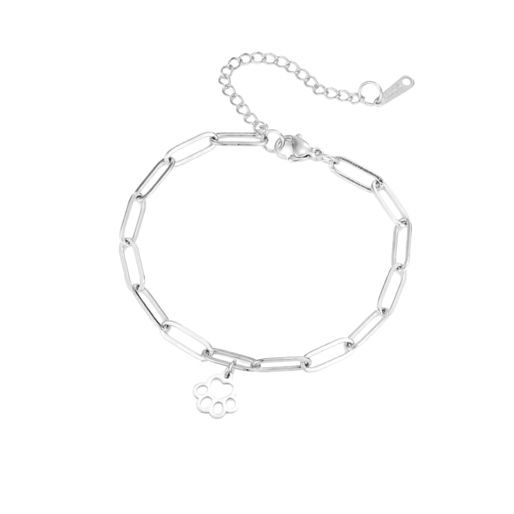Silver link bracelet with delicate paw-print charm and lobster clasp