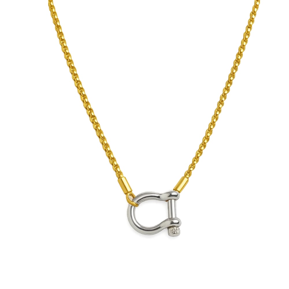 Two-tone carabiner pendant necklace with gold chain and silver horseshoe charm