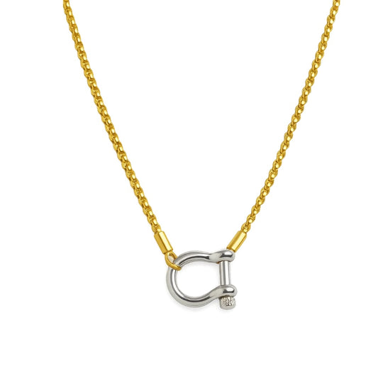 Two-tone carabiner pendant necklace with gold chain and silver horseshoe charm