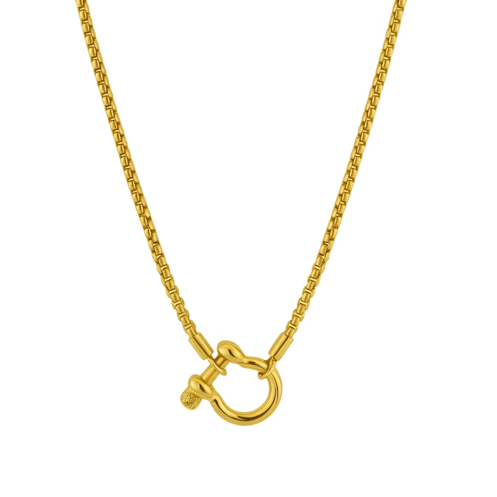 Gold carabiner pendant necklace with linked horseshoe charm on a gold chain