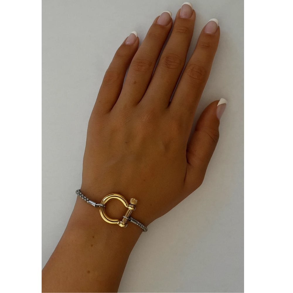 Bracelet on hand: silver chain with gold horseshoe carabiner clasp and hinge details.
