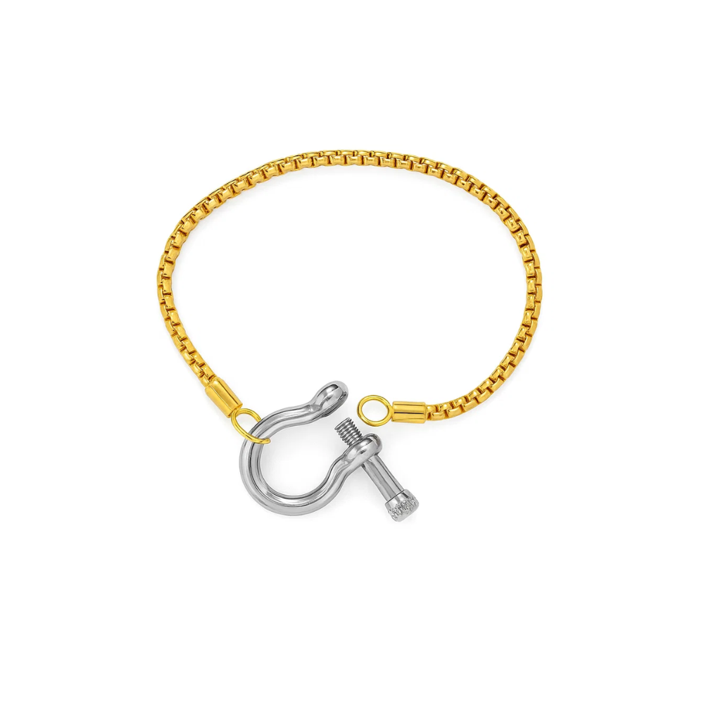 Gold chain bracelet with horseshoe carabiner clasp