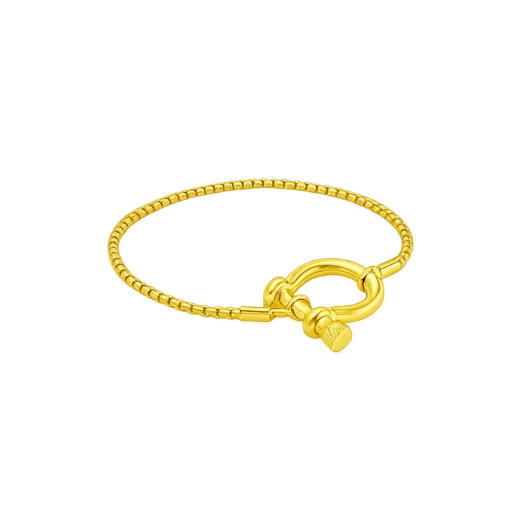 Gold chain bracelet with matching gold horseshoe carabiner clasp and heart-shaped charm.